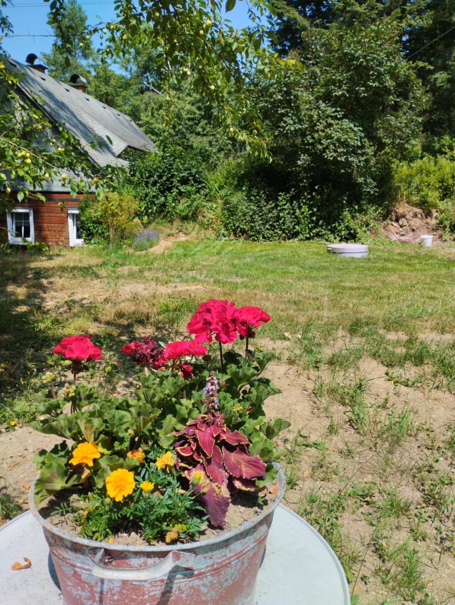 Domecek Uprostred Prirody Villa Krásná Lípa Exterior foto